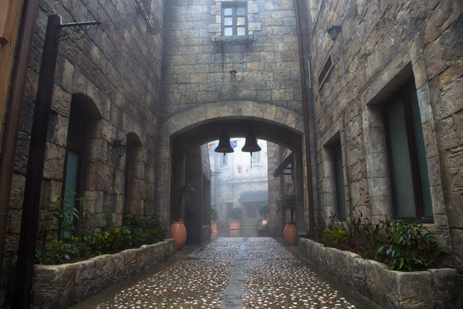 华人在越南经济地位,华人在越南的历史