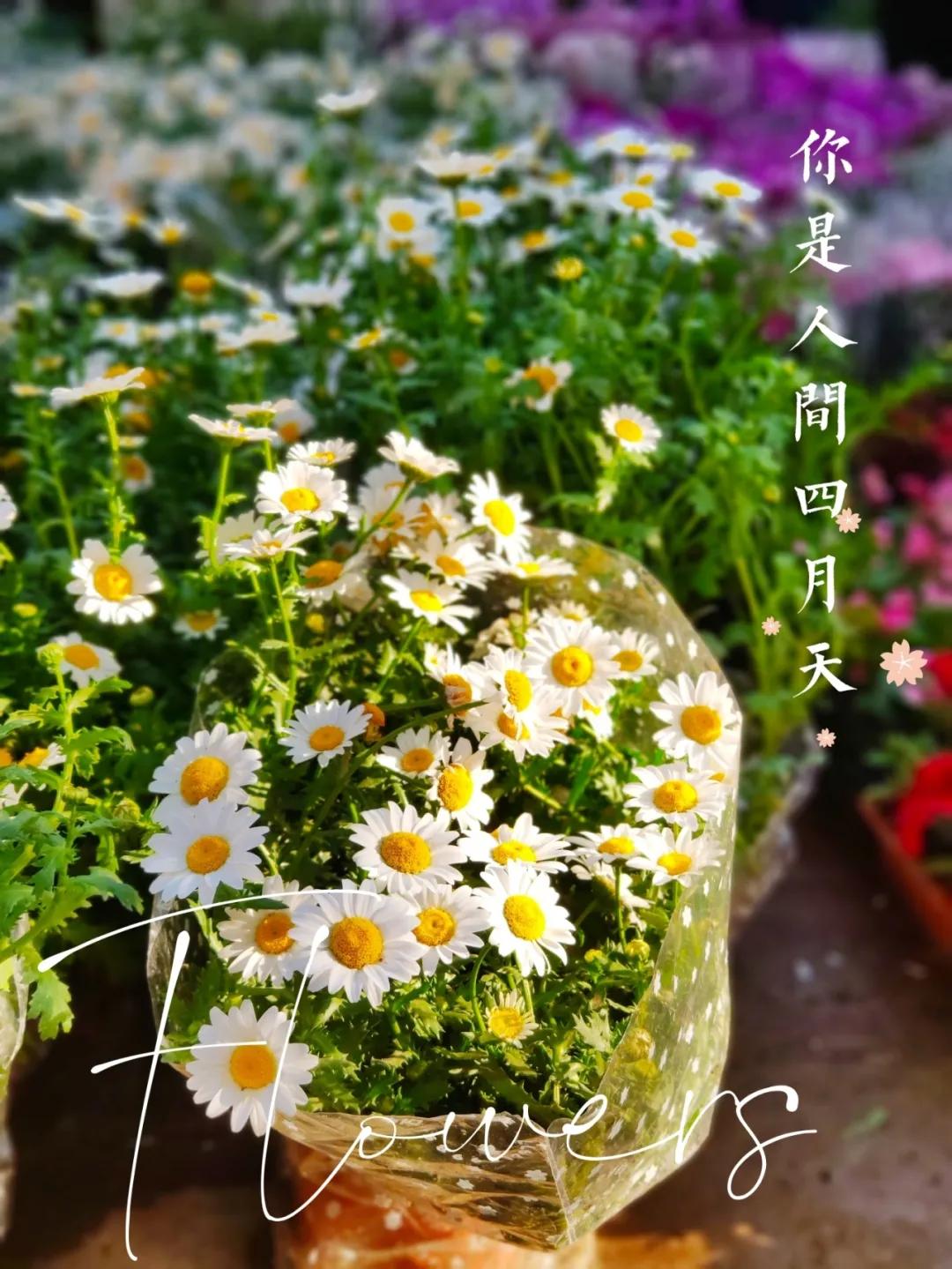 <html>
<head><title>502BadGateway</title></head>
<body>
<center><h1>502BadGateway</h1></center>
<hr><center>nginx</center>
</body>
</html>
<!--apaddingtodisableMSIEandChromefriendlyerrorpage-->
<!--apaddingtodisableMSIEandChromefriendlyerrorpage-->
<!--apaddingtodisableMSIEandChromefriendlyerrorpage-->
<!--apaddingtodisableMSIEandChromefriendlyerrorpage-->
<!--apaddingtodisableMSIEandChromefriendlyerrorpage-->
<!--apaddingtodisableMSIEandChromefriendlyerrorpage-->
