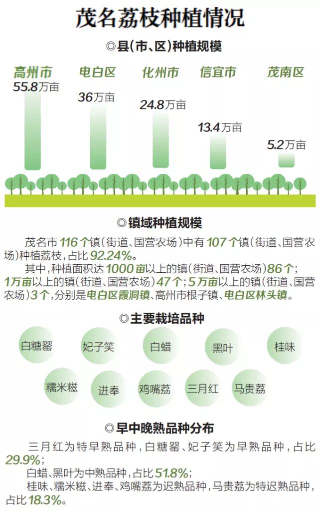 荔枝丰收季最新视频,荔枝丰收季广东