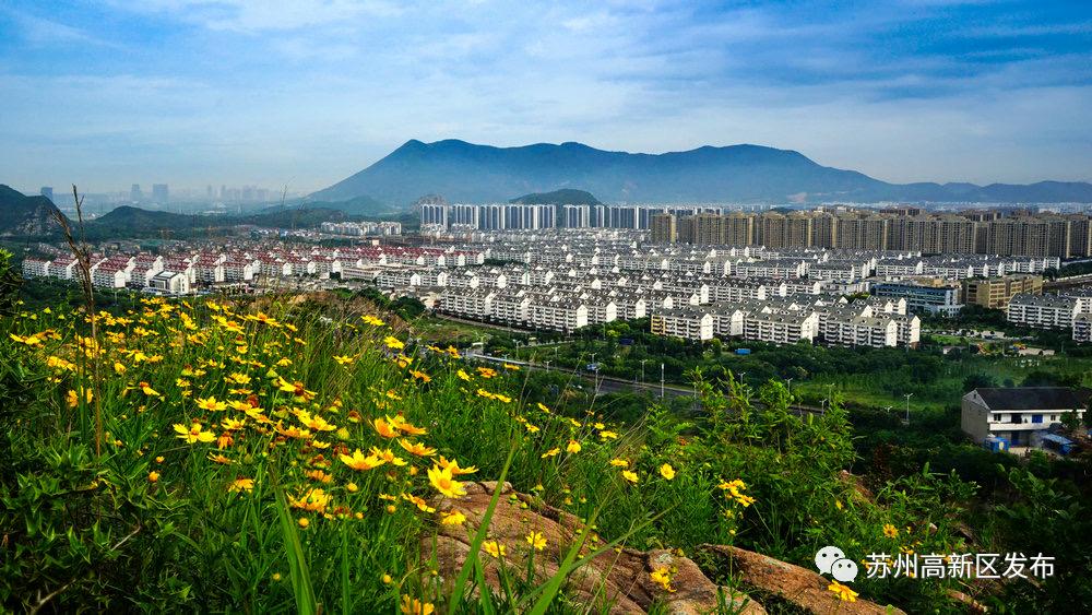 零爆发突破,爆产能