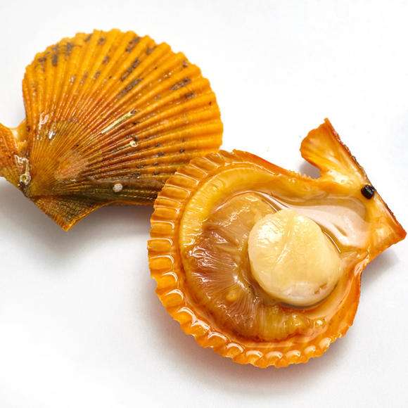 扇贝粉丝蒜蓉做法需要蒸多久,蒜蓉粉丝蒸扇贝蒸几分钟比较好