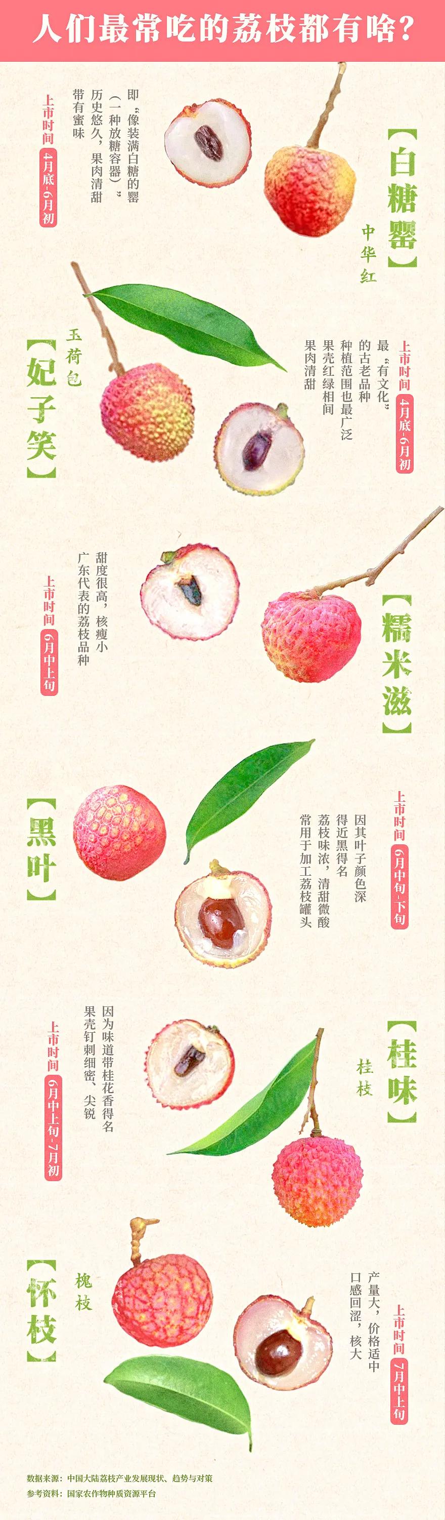 来到海南吃荔枝,到海南吃到的热带水果