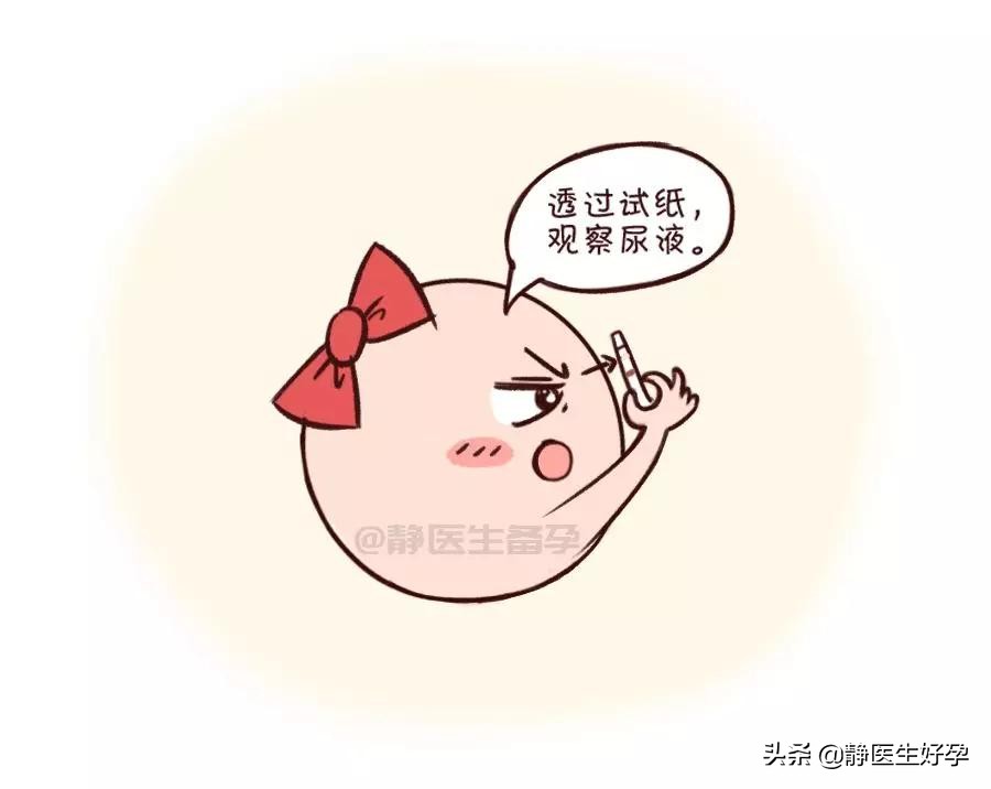 精子和卵子相遇有什么表现吗,精子多久与卵子相遇最好