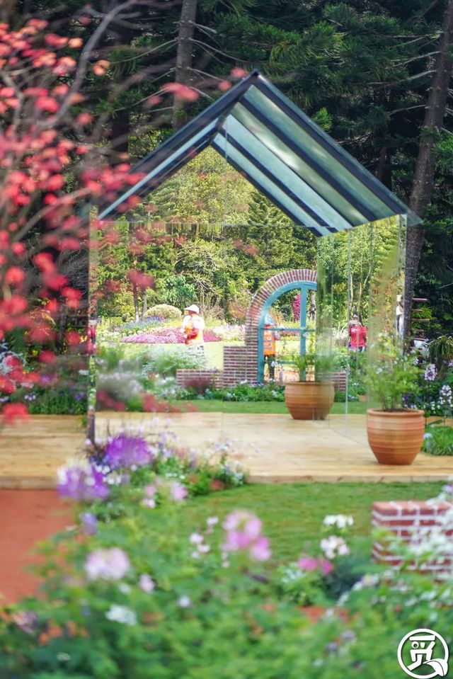 深圳史上最大最美的花展来啦,走进深圳仙湖植物园的国际花展