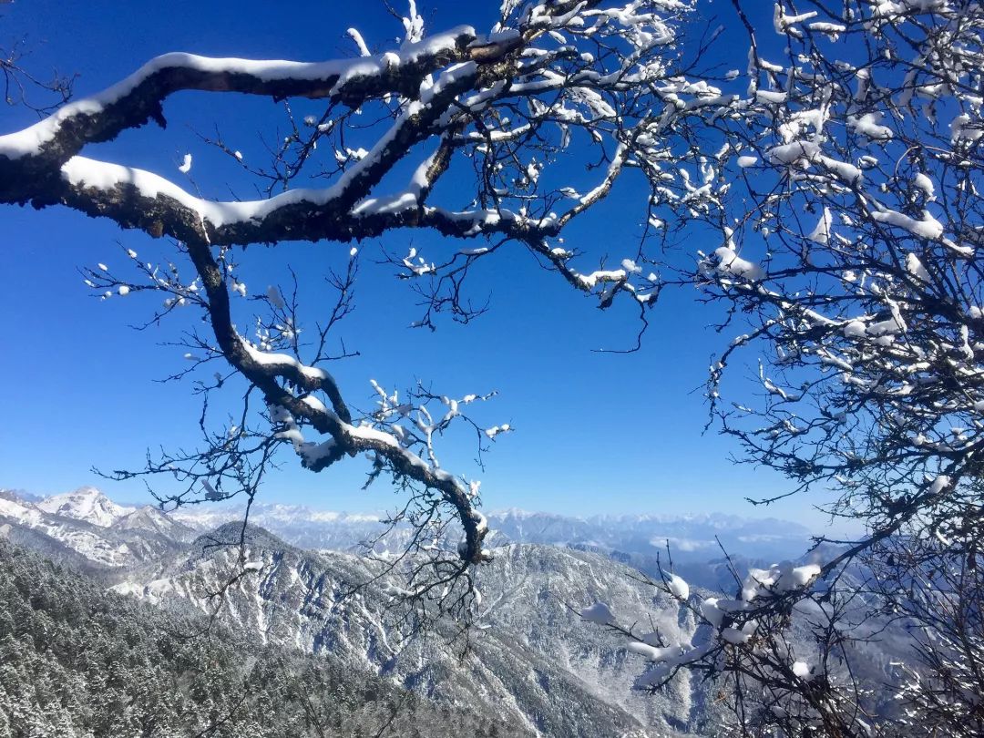 西岭雪山玩耍区在哪里,西岭雪山景区玩耍路线