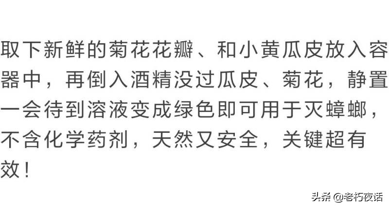 十种驱蟑螂的有效方法,驱虫药驱蟑螂真的有效吗