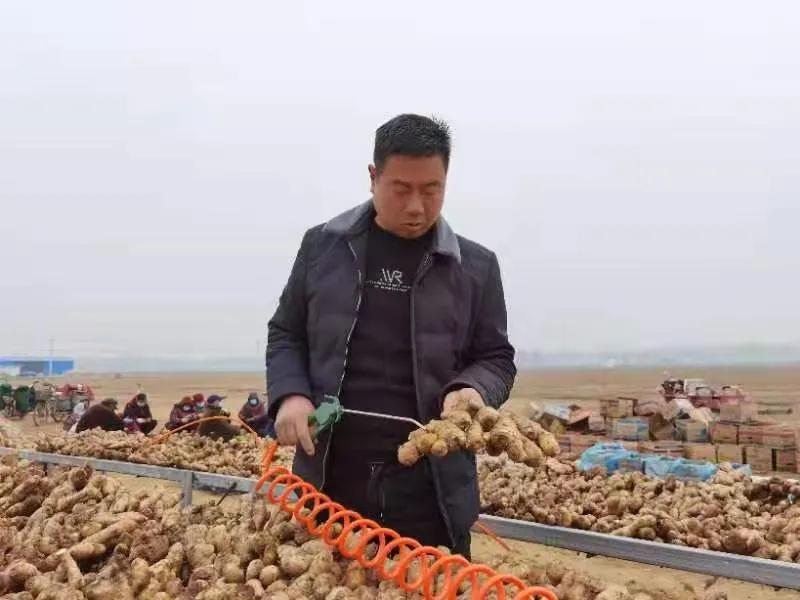 每亩净收益8万以上,每亩利润