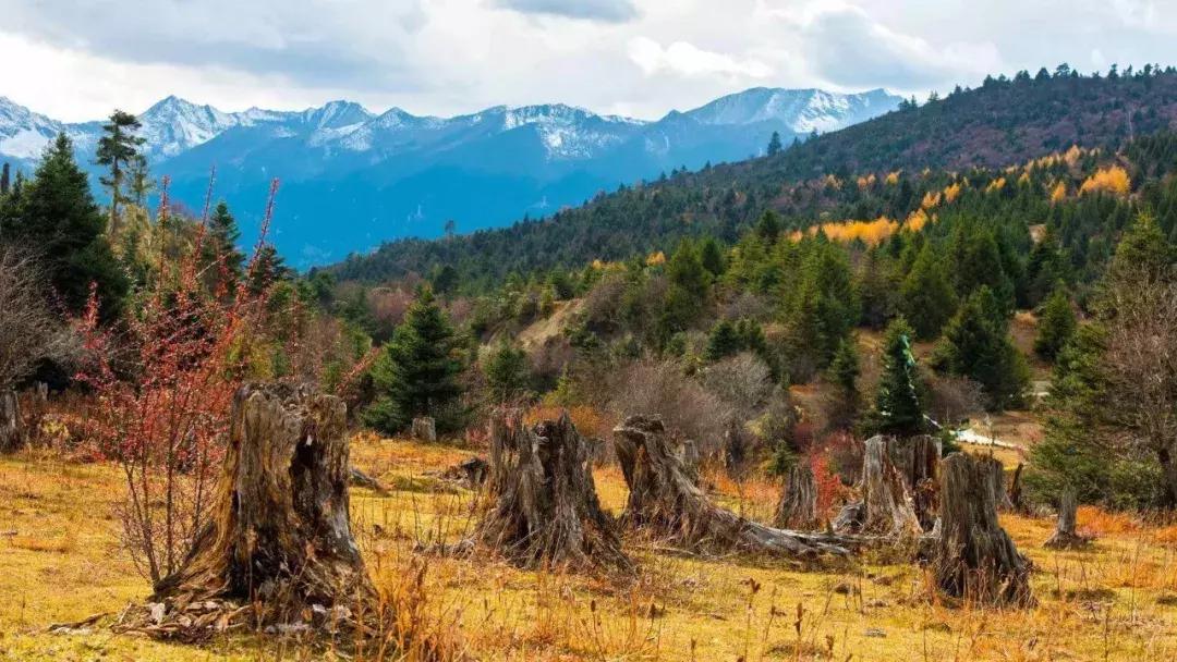 10月旅行地推荐最适合初秋出游,10月最适合慢慢旅游的地方