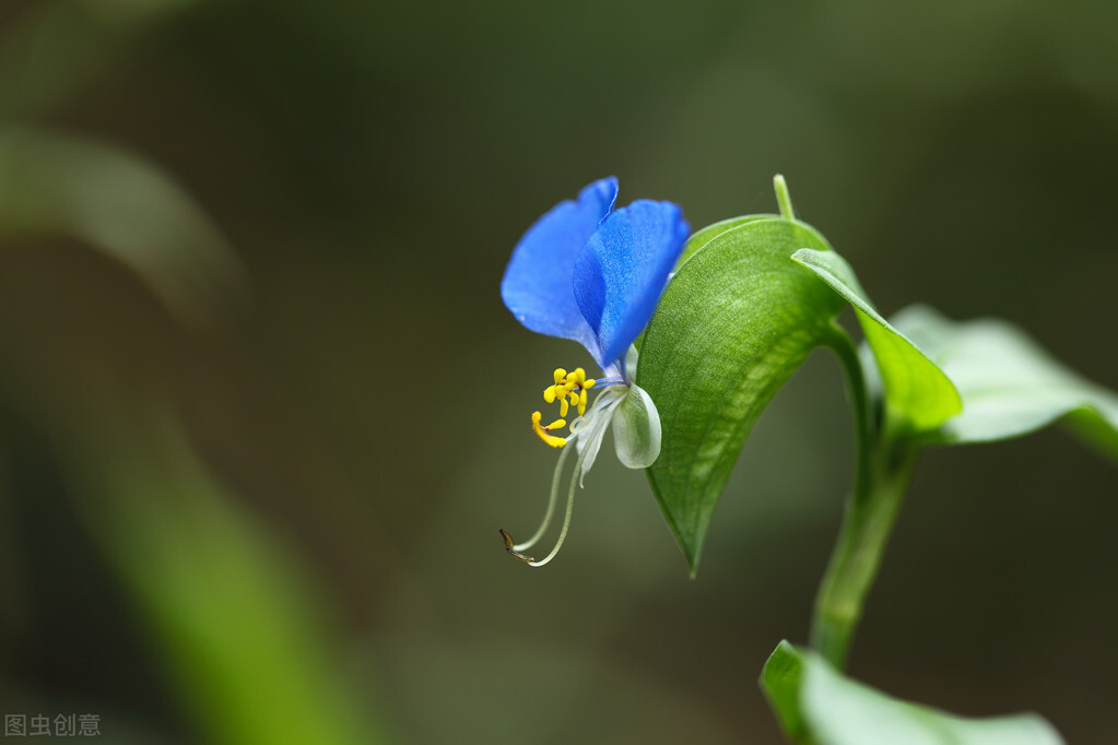 退休老阿姨人生感悟,58岁退休老阿姨人生感悟