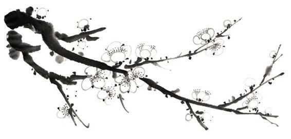 零基础梅花花朵入门画法,零基础学国画梅花入门步骤