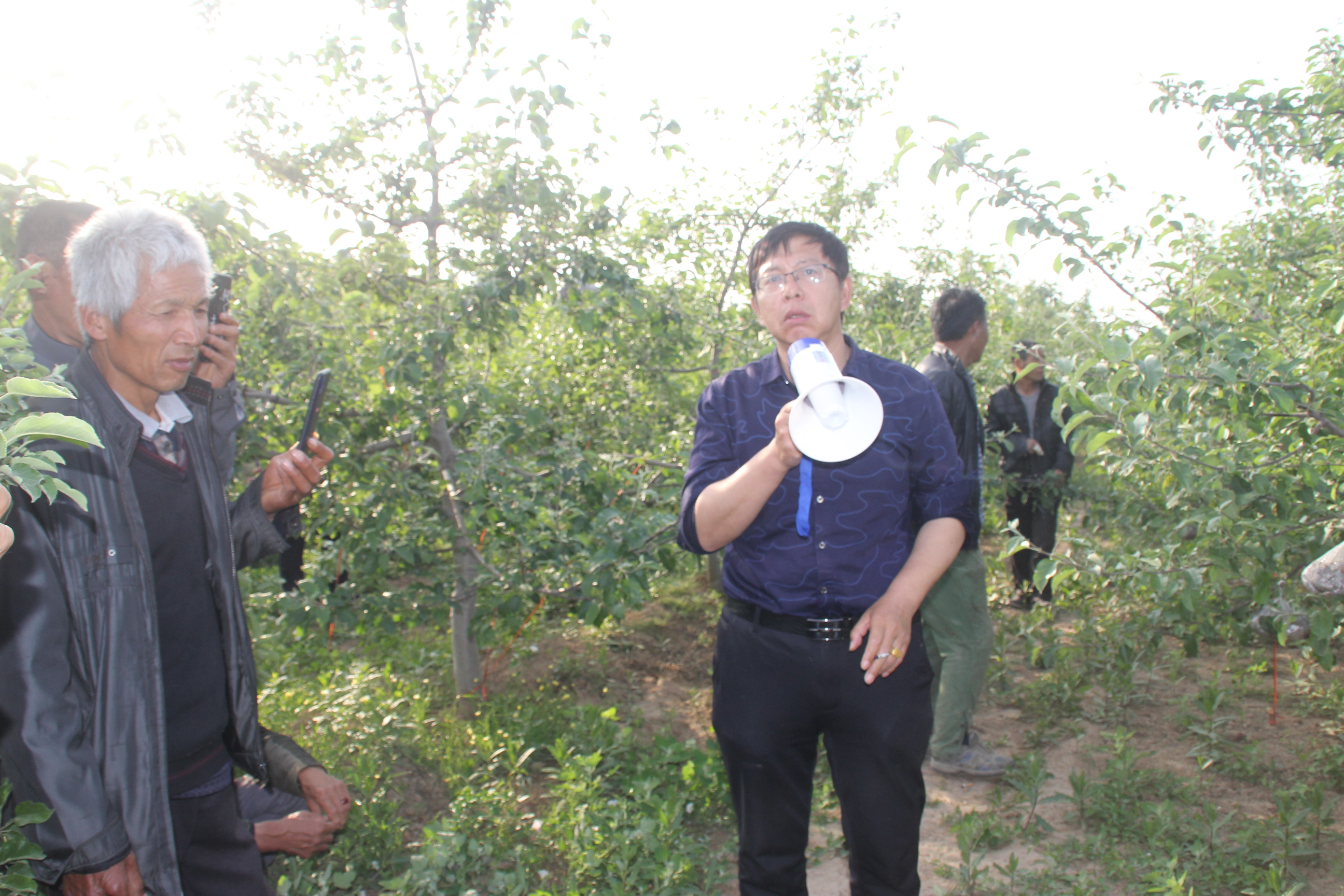 果树需要什么营养物质,果树生长必需营养元素17种