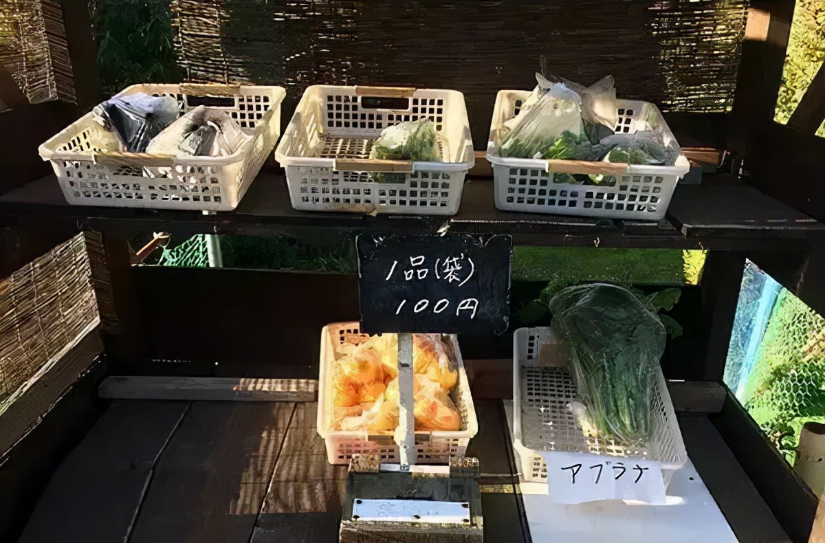 日本工匠精神能造假吗,日本工匠造假事件