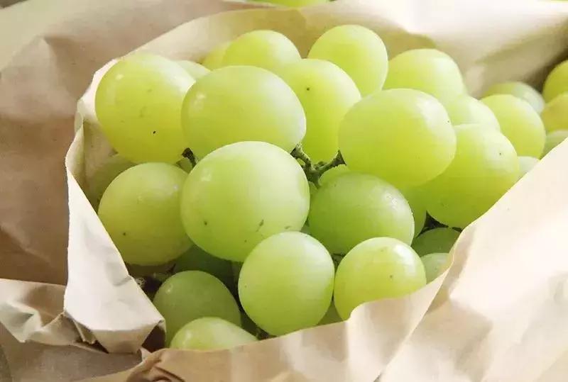 150元一斤阳光玫瑰葡萄,阳光玫瑰葡萄一斤大概有多少个