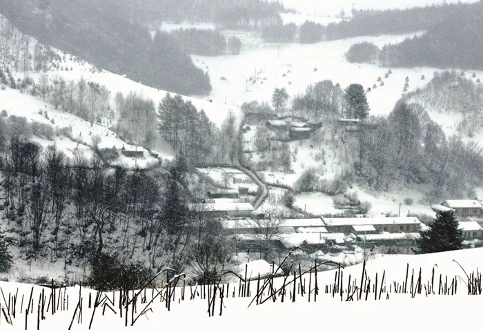 不忽悠！“拔草”吉林这些小村屯才不辜负这个冬天