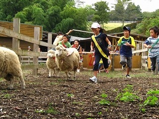 沿“线”旅行 | 富士山下遛娃好去处，好吃好玩儿还不贵