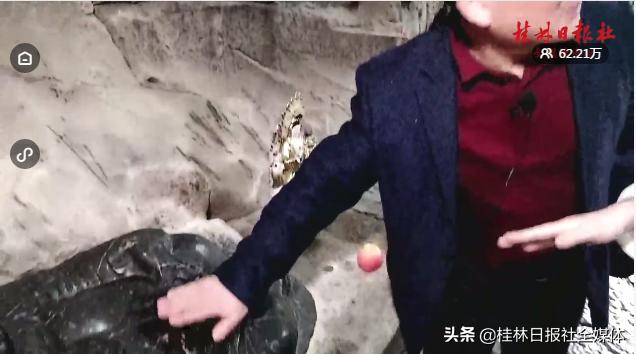 “5999元直接砍掉5000”！桂林这位区长主播霸气优惠，惊呆60万网友