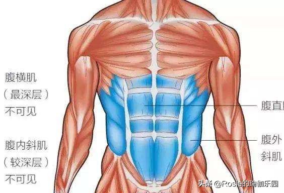 每天100个仰卧起坐会伤腰吗,每天100个仰卧起坐坚持100天