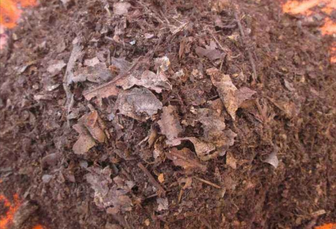 如何制作肥沃营养土,最好养的营养土