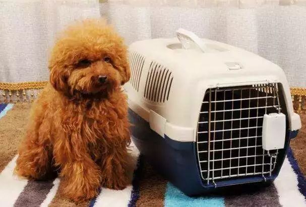 妈妈不得错过的接种疫苗小知识,关于乙肝疫苗接种知识