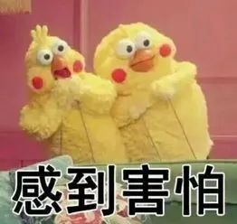 北大直击|线上答辩，做秘书究竟有多难？