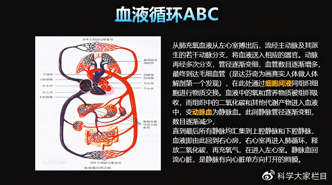 红细胞是双凹圆盘状图片,红细胞的形态是双凹