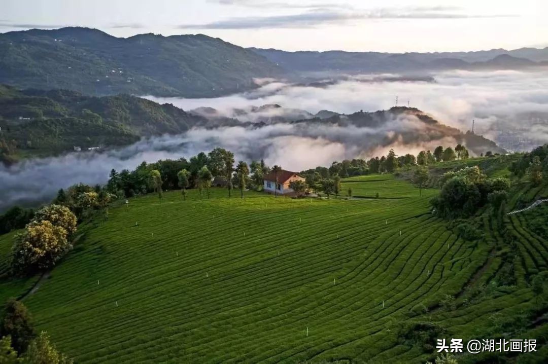 重走万里茶道,重走万里茶道感受晋商精神