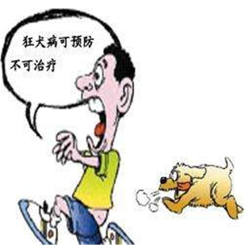 0元给狗狗打疫苗，正确姿势你知道吗？除了狗狗，猫也可以哟