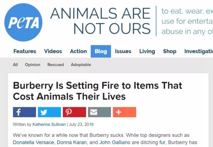 中古奢侈品二手店香奈儿,gucci卖的包包