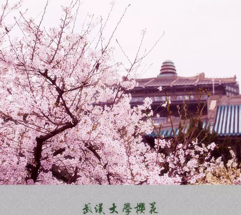 武汉伢终于翻身了！友好交往度全国第二，秒杀北上广！