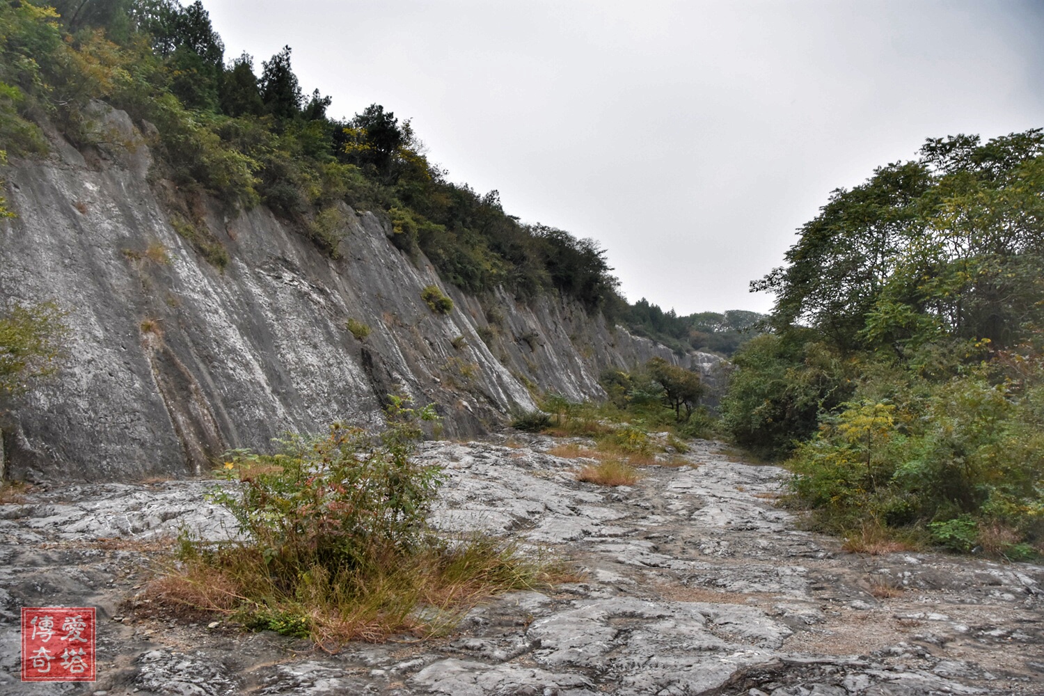 南京阳山碑材景区,南京阳山碑材60岁老人免费吗