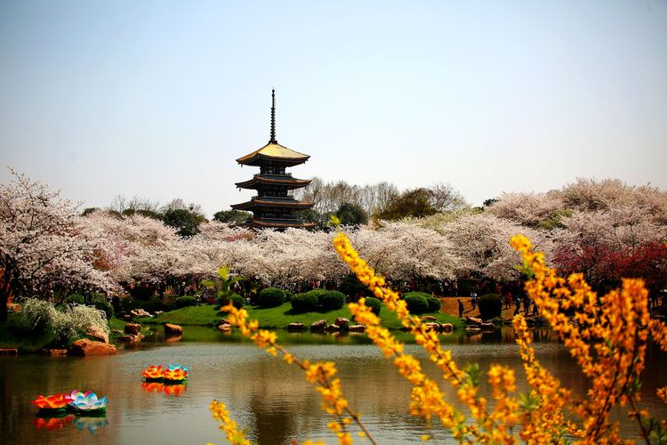 鑻遍泟褰掓潵妯辫姳鏈夌害,妯辫姳鐩涘紑鑻遍泟褰掓潵瀹屾暣瑙嗛