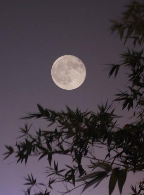 诗词吟诵《秋日》,秋日相思的古诗词