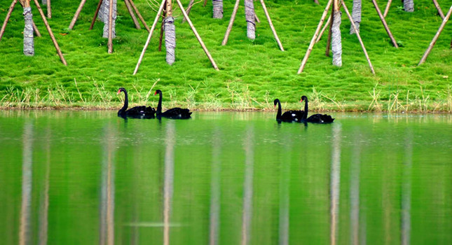 今年四川三台高考状元,广元近几年高考文科状元