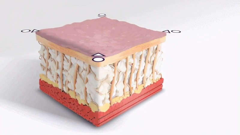 怎样预防皮肤衰老最有效,国内抗衰老的医院排名最新
