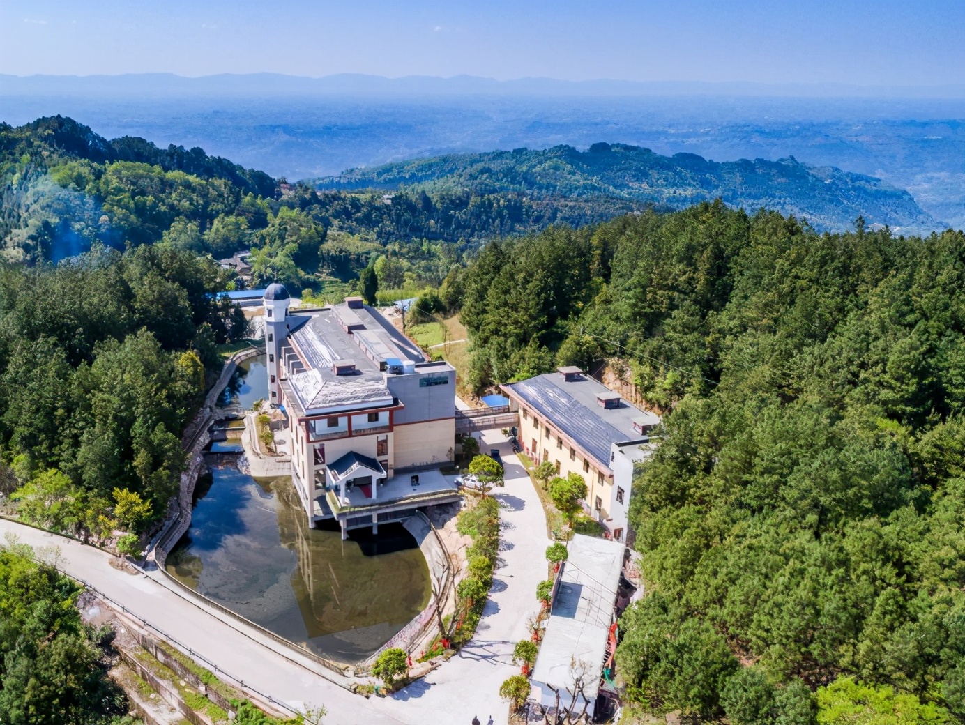 云贵川农产品土特产竹笋,重庆市忠县白石镇竹笋