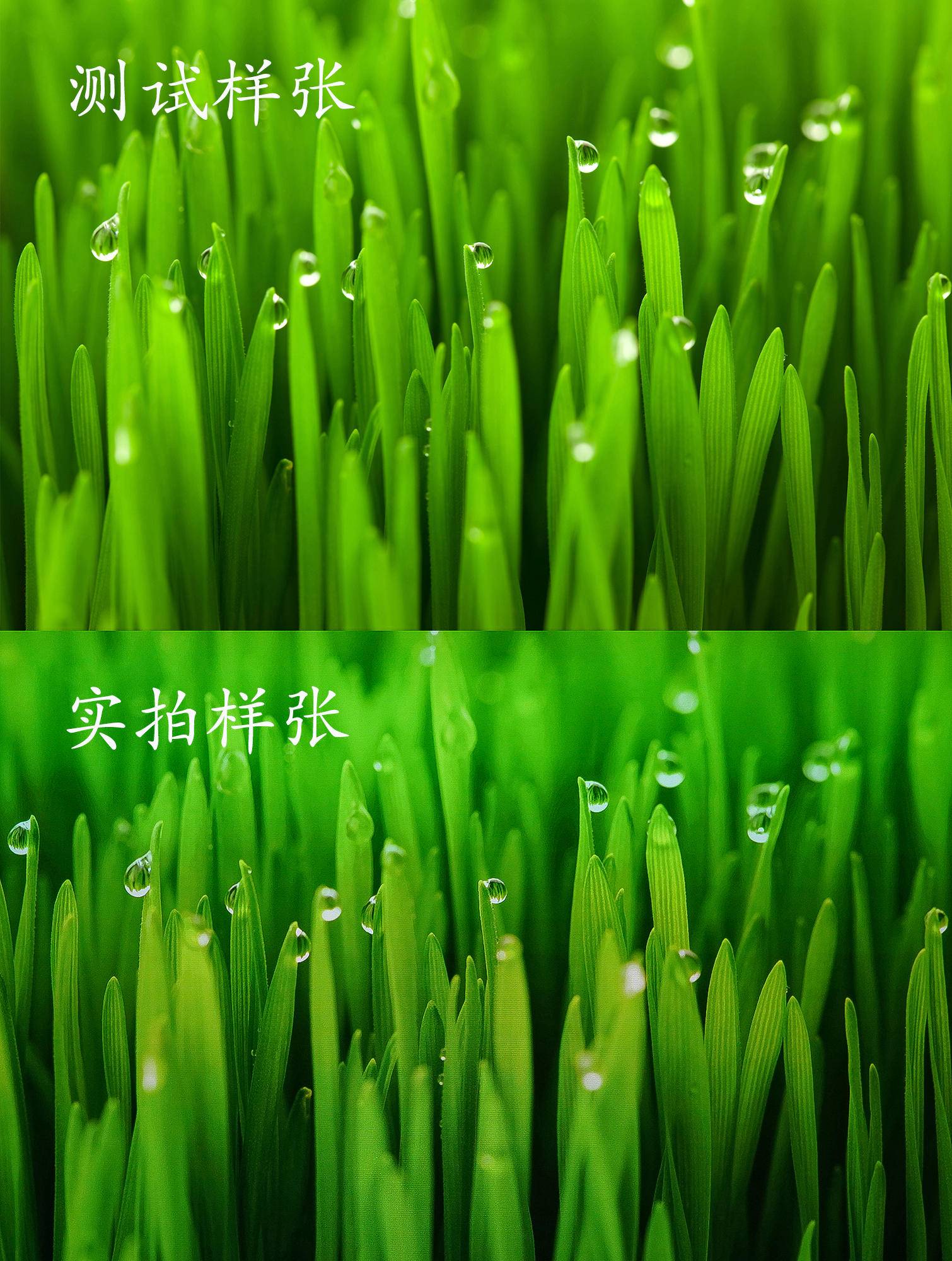 优派x10投影,优派x10功能