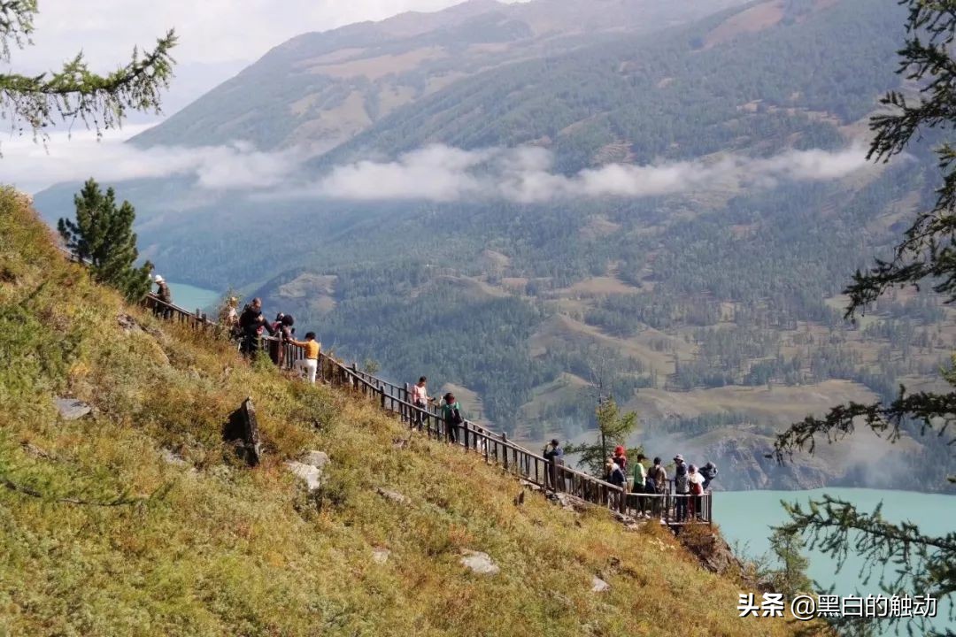 都说新疆好去新疆发展可靠么,都说新疆好地方