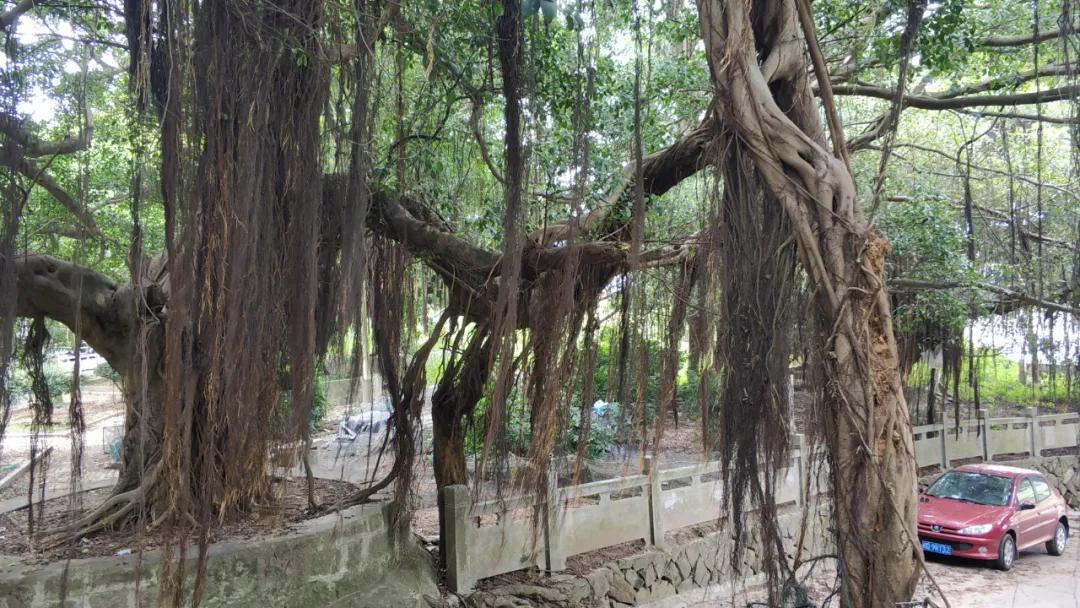 霞浦吕峡下尾岛在哪里,霞浦县吕峡下尾岛的风景