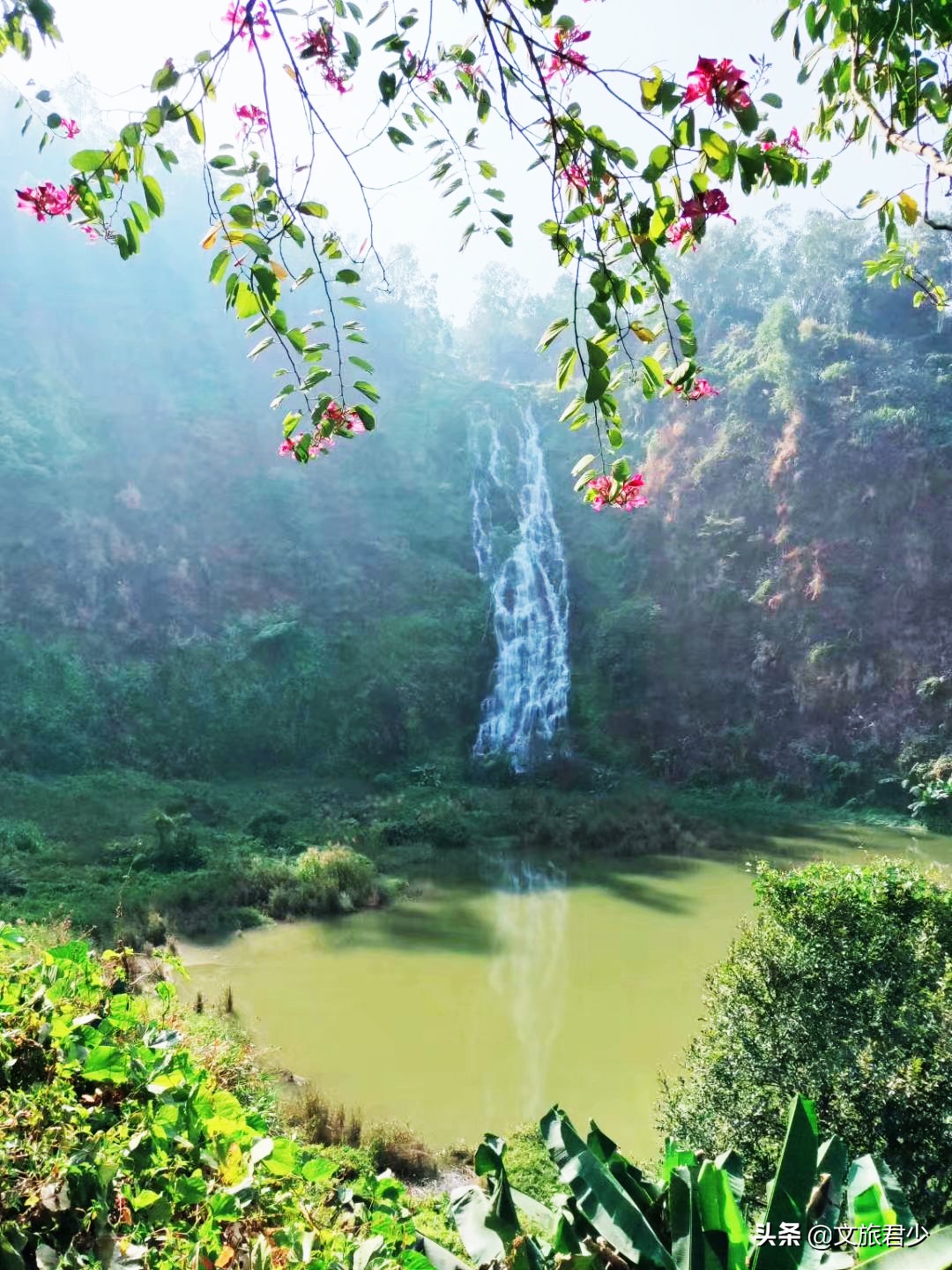 水濂山森林公园景点,东莞水濂山森林公园景点介绍