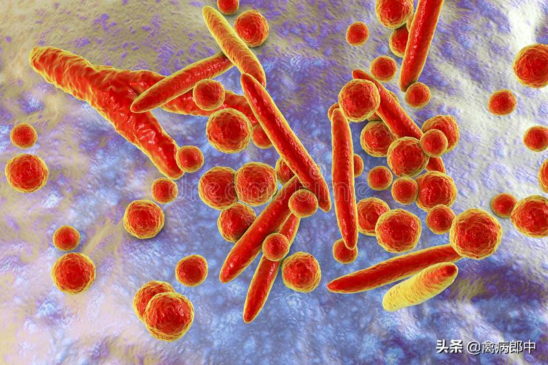 鸭眼流粘液,鸭支原体