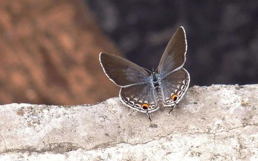 被裁员的程序员,程序员转型做产品经理有前途吗