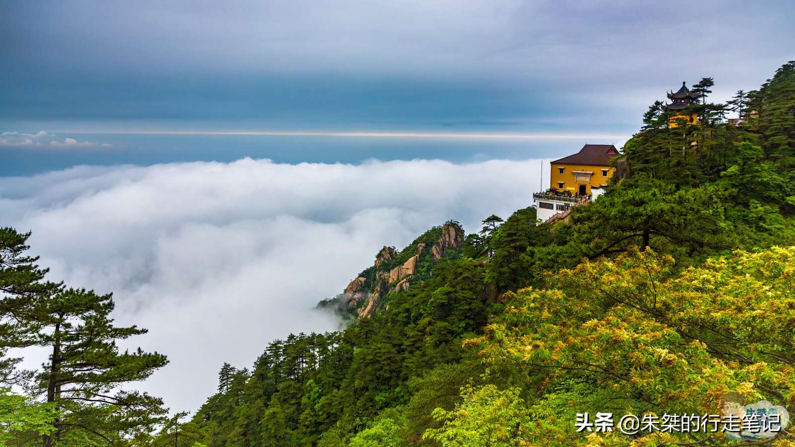九华山是不是四大名山之首,九华山第一佛教名山