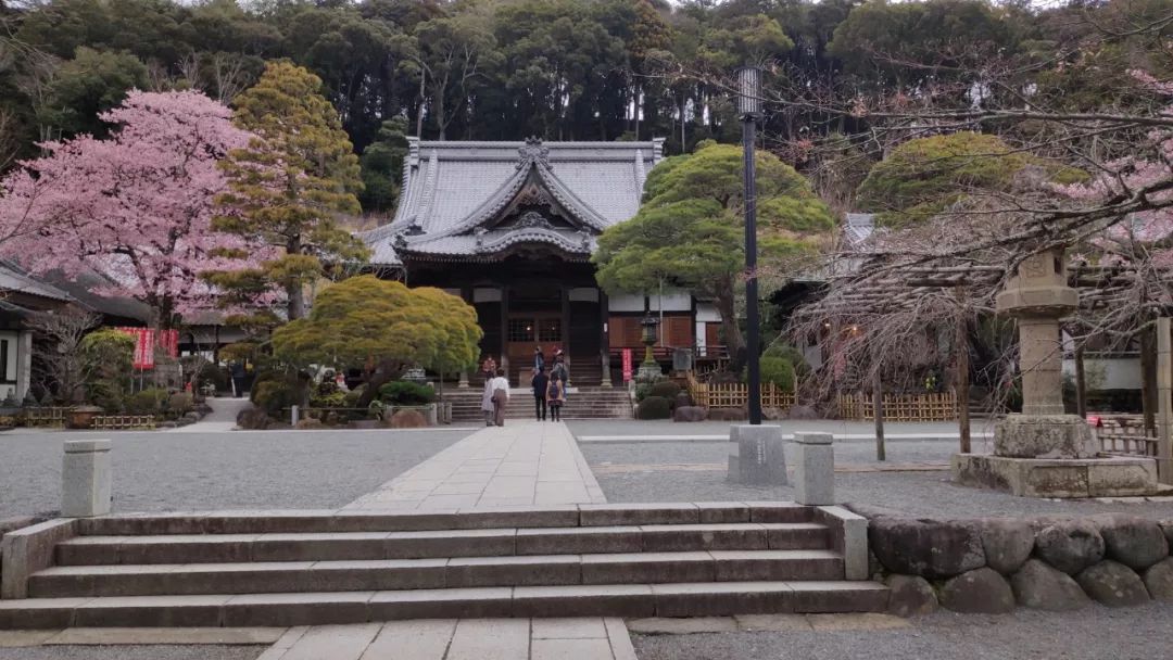 日本本州旅游攻略亲子,日本本州攻略