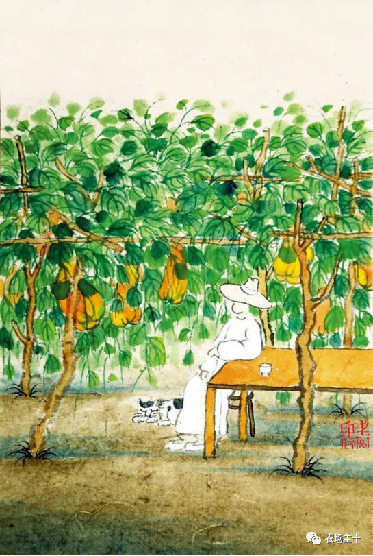 院子里种什么十多年后价值很高,院子里种什么最值钱