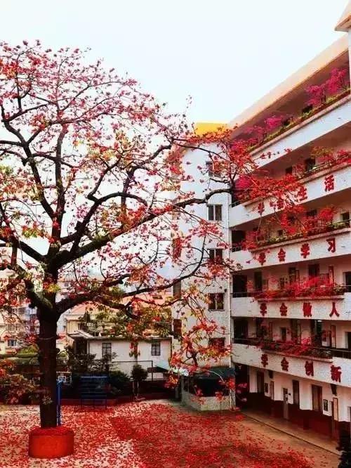 有一种骄傲叫我是中国人音乐,有一种骄傲叫我是中国人的图片