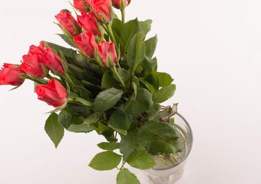 鲜花插花花艺课教程,婚礼花艺鲜花插花专业教程