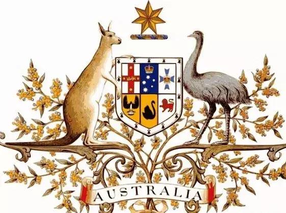 澳大利亚国宝袋鼠为啥可以吃,澳大利亚袋鼠是国宝为什么还能吃