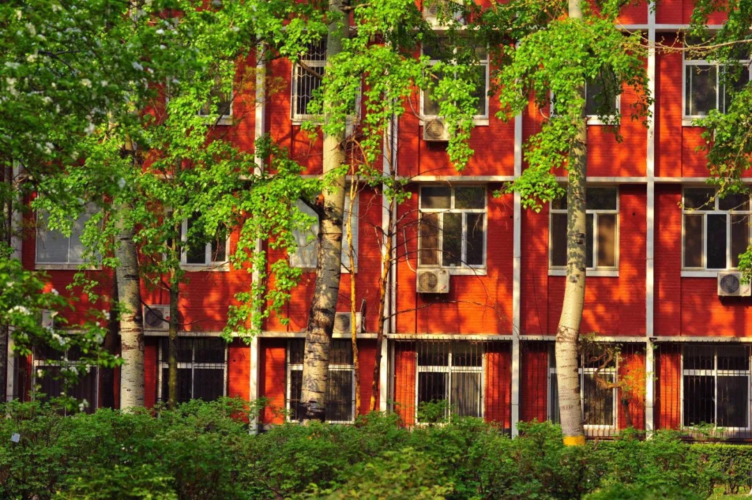 考生速看！8大理由告诉你，千万不要报考北京这所大学！