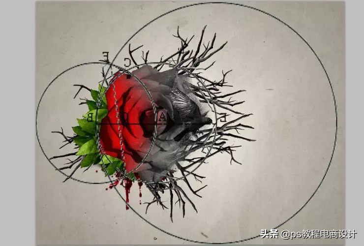 ps怎么把玫瑰变成金黄色,ps蝴蝶和鲜花合成