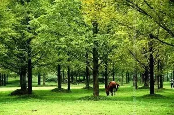 2022骞存仼鏂藉晢涓氶瓍鍔涙帓琛屾,榄呭姏鎵撳崱涔嬪煄鎭╂柦